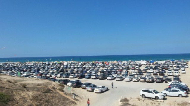 מטיילים בפלמחים (צילום: רשות הטבע והגנים)