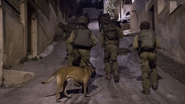 פעילות יחידת דובדבן (צילום: דובר צה"ל)