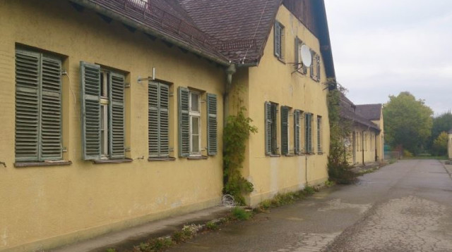 "גן עשבי הרפואה" (צילום: גדעון קוץ)