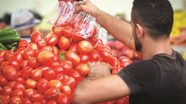 עגבניות, שוק הכרמל, פירות וירקות, ירקות, שוק (צילום: פלאש 90)