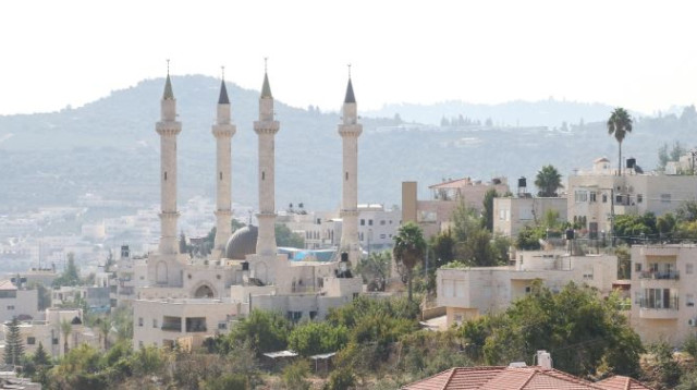 אבו גוש (צילום: דני מרון)