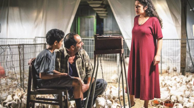 באבא ג'ון (צילום: יוראי ליברמן)