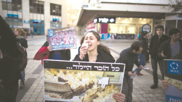 הפגנה נגדת השמדת אפרוחים (צילום: יונתן זינדל, פלאש 90)