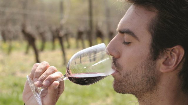 יין אדום, בריאות (צילום: אינגאימג)