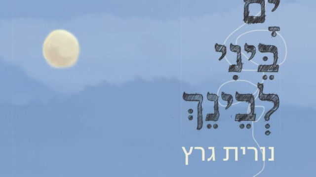 "ים ביני לבינך" (צילום: יח"צ)