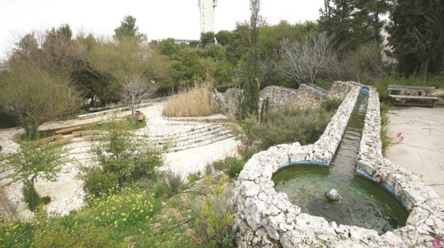 הגן הבוטני בהר הצופים בירושלים (צילום: יוסי זמיר, פלאש 90)