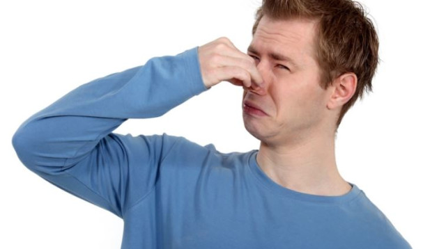 גועל, סירחון, ריח רע, פלוצים (צילום: ingimage ASAP)