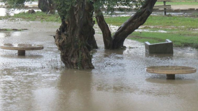 הגן הלאומי באשקלון הוצף (צילום: עמרי בוכניק, רשות הטבע והגנים)