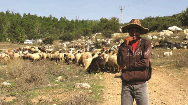 סיור בטבע, מטה יהודה (צילום: מיטל שרעבי)