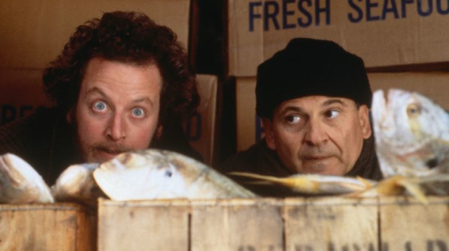 דניאל שטרן וג'ו פשי, שכחו אותי בית (צילום: יס)