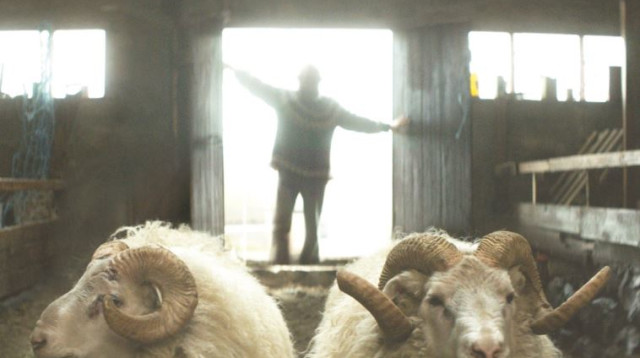 מתוך הסרט "איילים" (צילום: יח"צ)