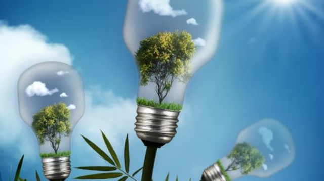 אנרגיה ירוקה (צילום: אינגאימג)