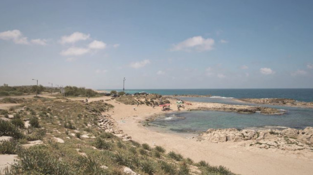 חוף אכזיב (צילום: ליאור חורש)