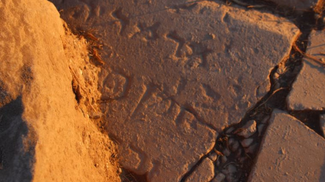 הכתובת לחוף הכנרת (צילום: ג'ני מונרו)