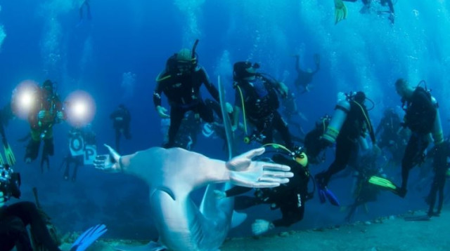 קמפיין "שתיקת הכרישים" (צילום: מארק פולר)
