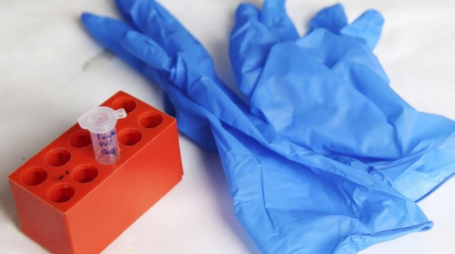 מעבדה, אילוסטרציה (צילום: פלאש 90)