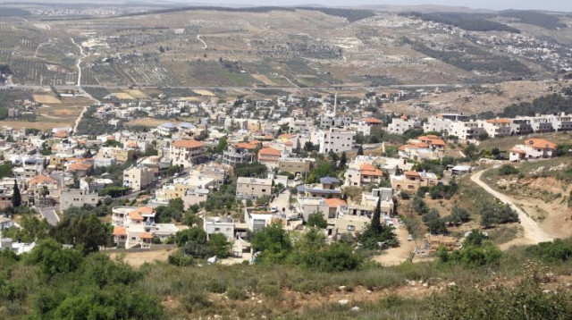 ואדי ערה (צילום: יוסי זמיר פלאש 90)