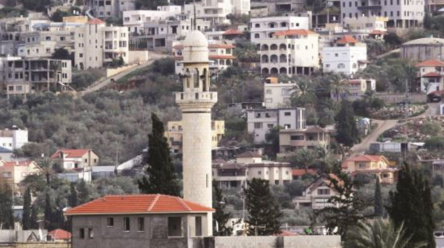 ערערה (צילום: אריאל בשור)