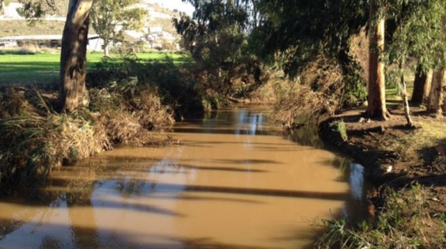נחל הקישון אחרי הזיהום (צילום: יוסי סורוג'ון, רשות נחל הקישון)