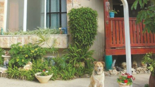 "בית רעות" לנערות במצוקה (צילום: יח"צ)