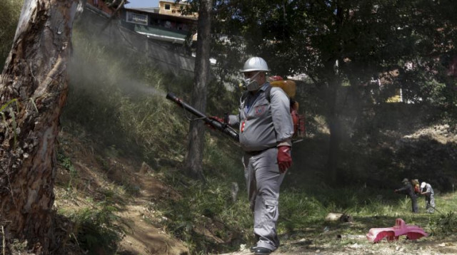 מאמצים לעצירת וירוס הזיקה, ונצואלה (צילום: רויטרס)