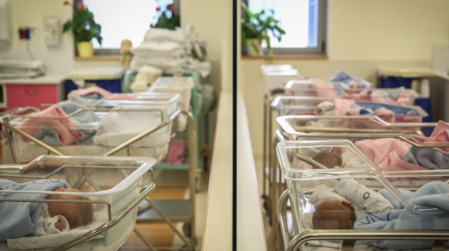 תינוקות (צילום: הדס פרוש, פלאש 90)