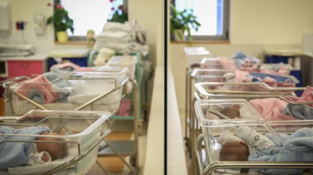 תינוקות (צילום: הדס פרוש, פלאש 90)