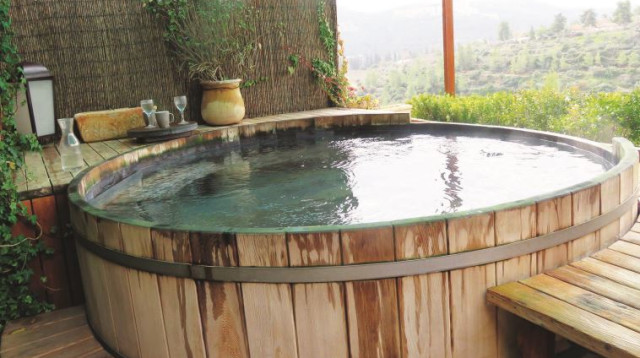 "עץ ומים" בבית זית (צילום: מיטל שרעבי)