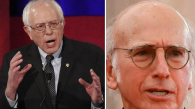 ברני סנדרס ולארי דיוויד  (צילום: רויטרס)