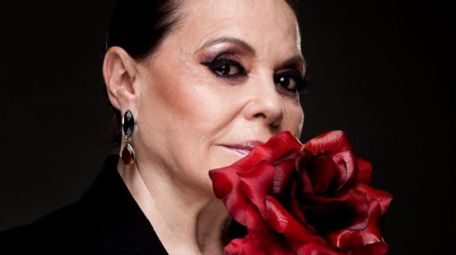 גילה אלמגור  (צילום: פיני סילוק)