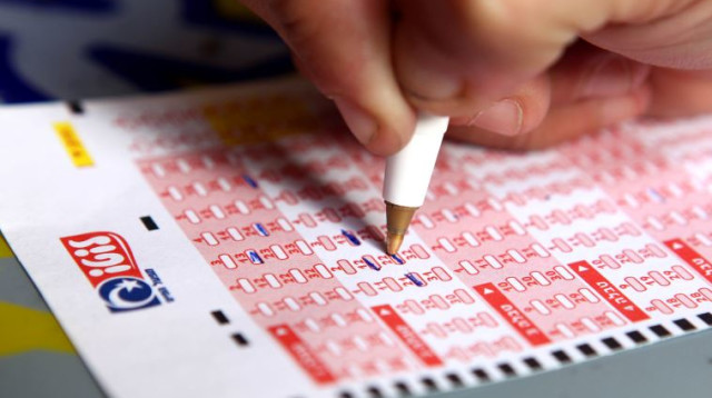 לוטו (צילום: פלאש 90)