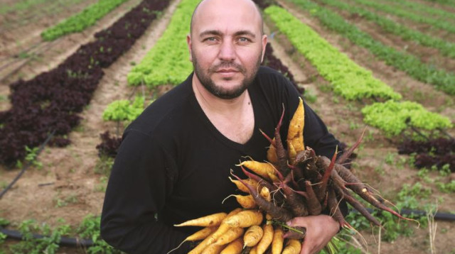 החקלאי בני נקווה (צילום: אריאל בשור)