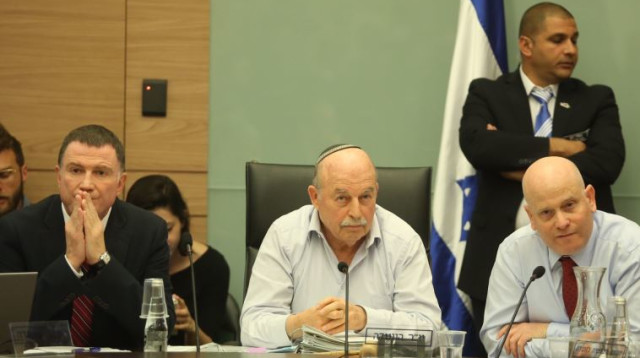 דיון בוועדת החוקה של הכנסת  (צילום: מרק ישראל סלם)