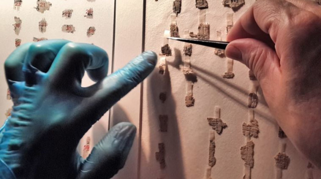 אלפי קטעי המגילות העתיקות- משולחן השימור אל השולחן הווירטואלי (צילום: שי הלוי, רשות העתיקות)