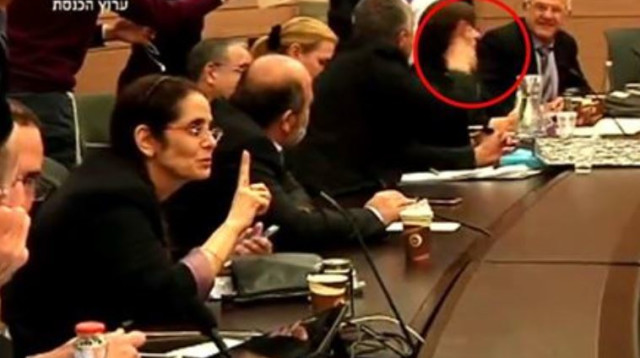 הישיבה הסוערת של ועדת החוקה (צילום: צילום מסך מערוץ הכנסת)