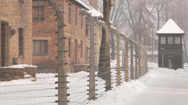 שואה (צילום: יצחק הררי, פלאש 90)