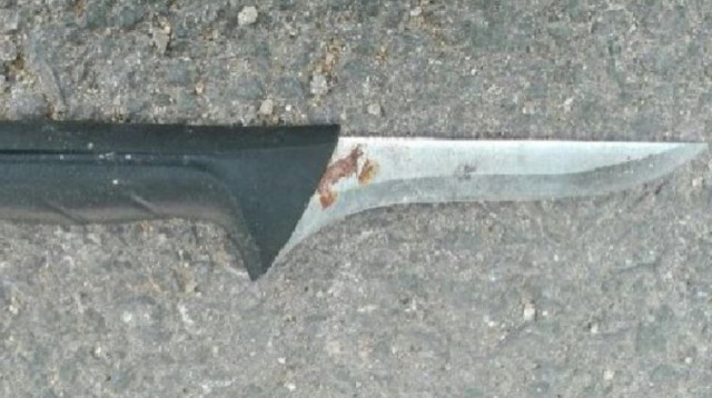 סכין המחבלת מכפר עוג'ה (צילום: חטיבת דובר המשטרה)