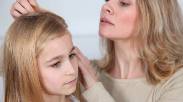 אם מחפשת כינים אצל בתה (צילום: אינגאימג)