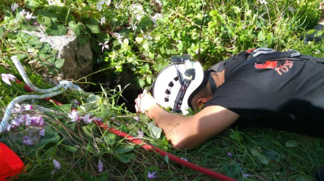 חילוץ כלבת לברדור שנפלה לבור ביער אלכסנדרוני (צילום: כבאות והצלה פתח תקווה)