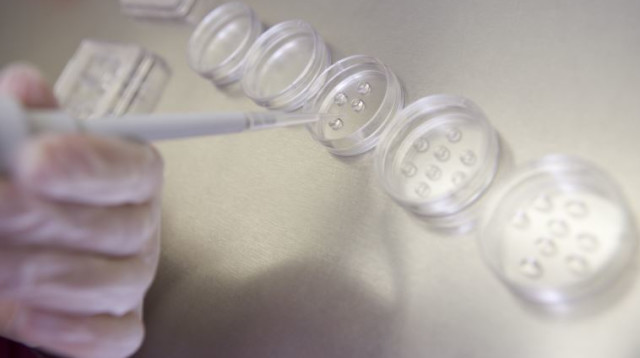 חוקרת מפרה ביציות במעבדה (צילום: ingimage ASAP)