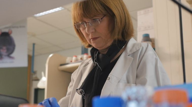 פרופסור חיה ברודי, שלמחקרה השלכות על מחלת דושן (צילום: אינטרוויזיה)