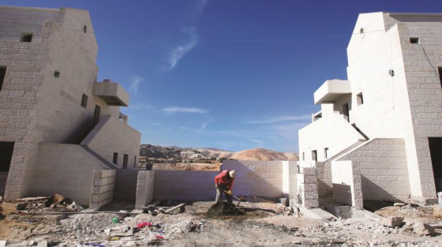 בנייה במעלה אדומים (צילום: רויטרס)