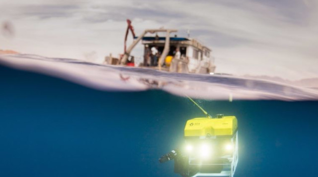 רובוט תת-ימי בישראל (צילום: יואב לינדמן, יח"צ)