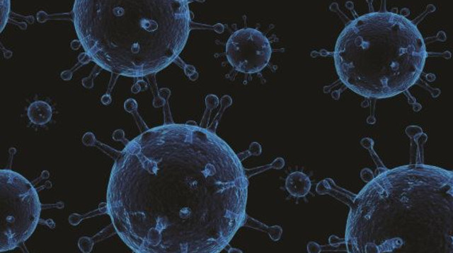 וירוס (צילום: ingimage/ASAP)