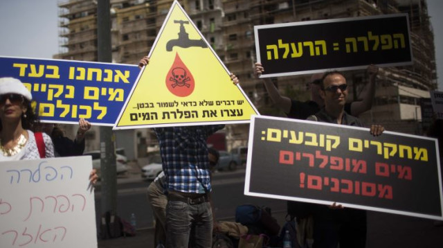הפגנה נגד הפלרת מים, ארכיון (צילום: יונתן זינדל, פלאש 90)
