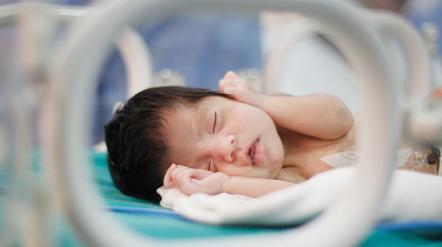 תינוק, פגיות (צילום: רויטרס)