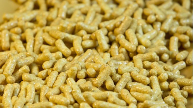 במבה (צילום: משה שי, פלאש 90)