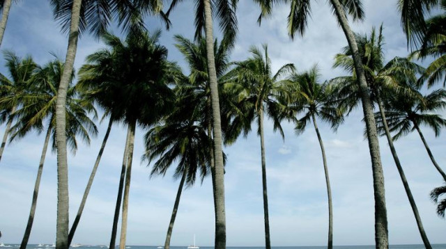 קוסטה ריקה (צילום: רויטרס)