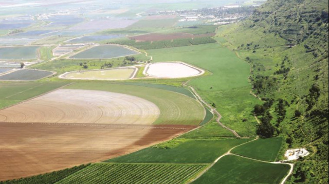 נוף הגלבוע (צילום: מיטל שרעבי)