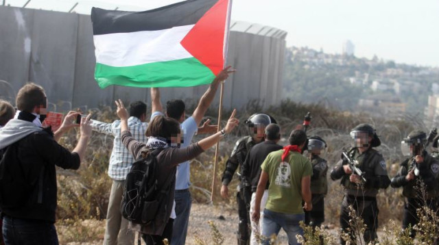 דגל פלסטיני. ארכיון (צילום: איסאם רימאווי, פלאש 90)